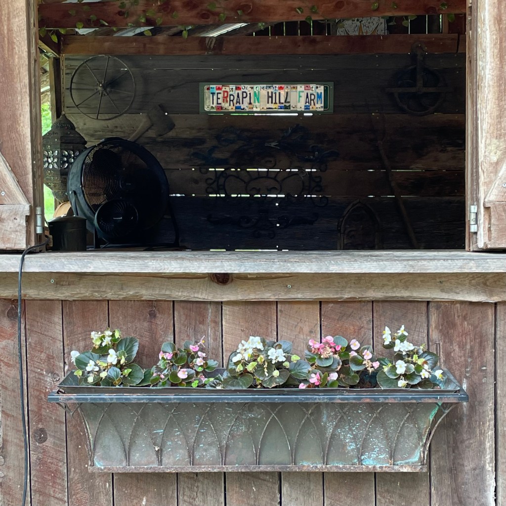 A sign that says Terrapin Hill Farm with a flower box below.