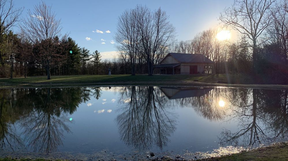 A sunset view of the pond at Bellwether Farm.