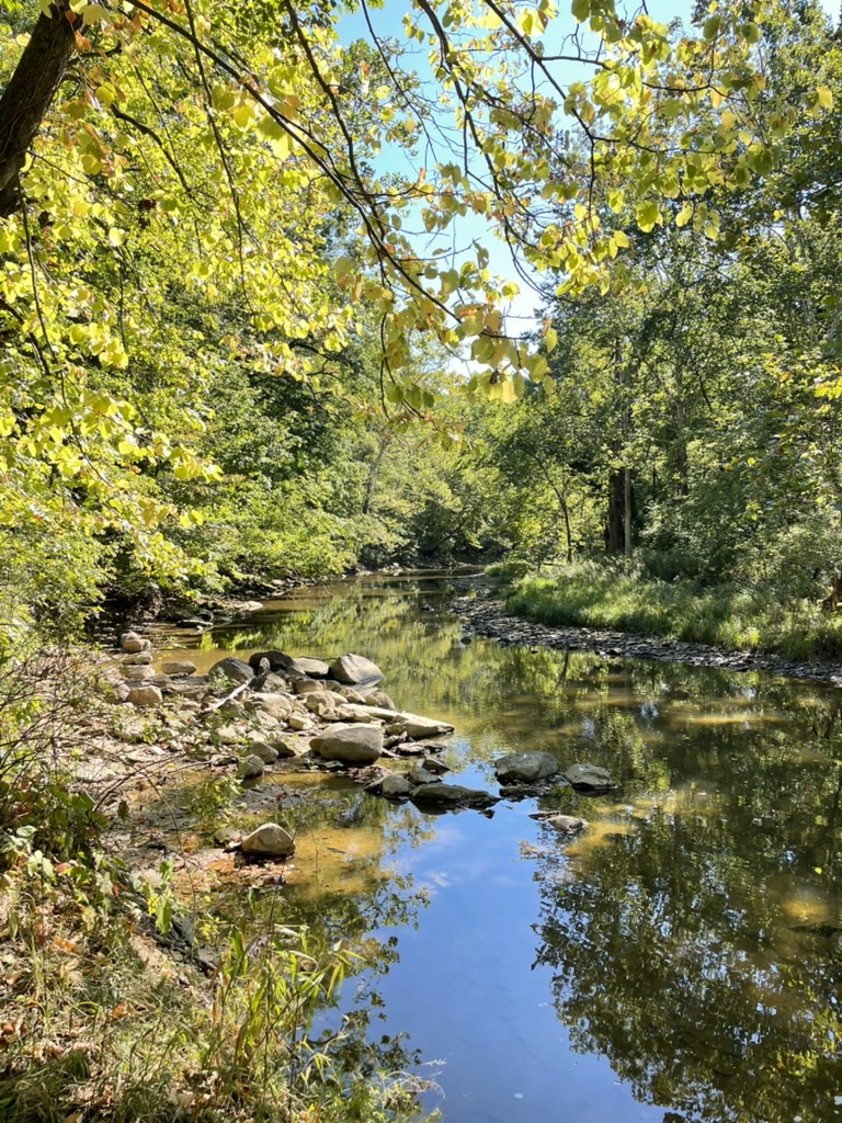 The Vermilion River in late summer.
