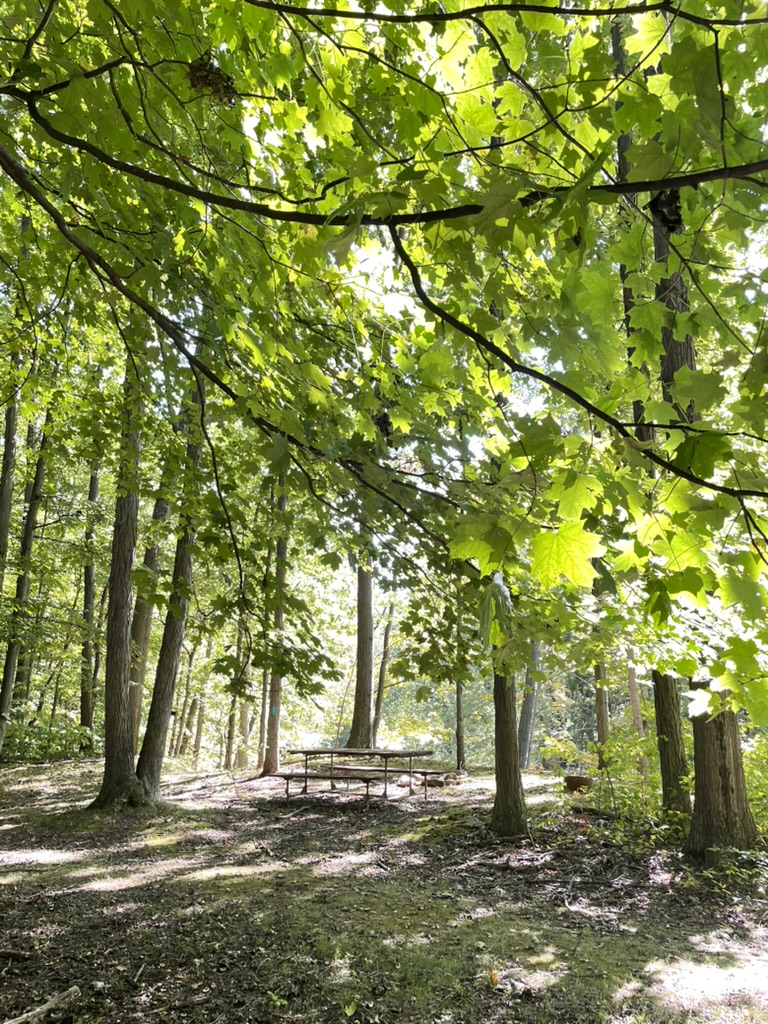 This is one of the remote camping spots for people who want to stay near the Vermilion River.
